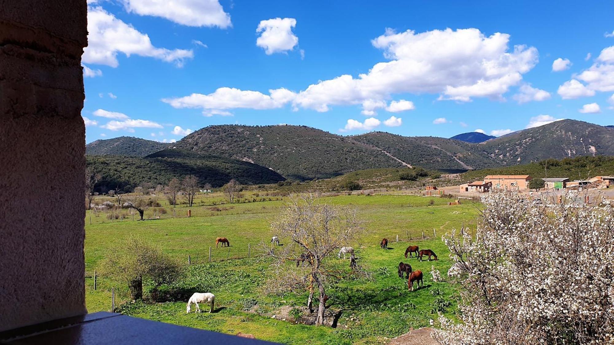 Casa Con Piscina En Parque Nacional De Cabaneros Navas de Estena ภายนอก รูปภาพ
